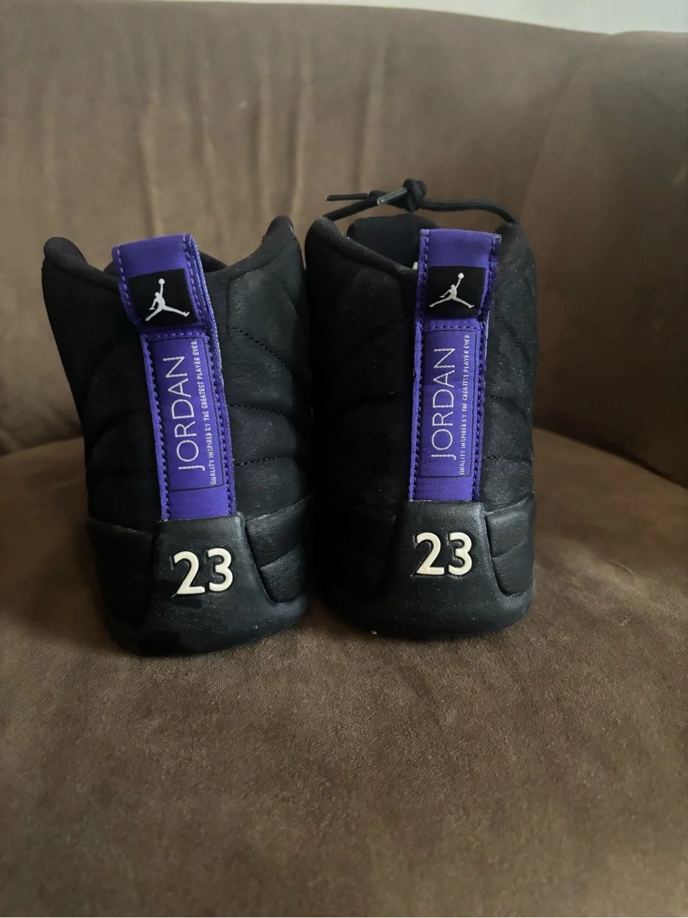 Air Jordan 12 “Dark Concord” (CT8013-005)